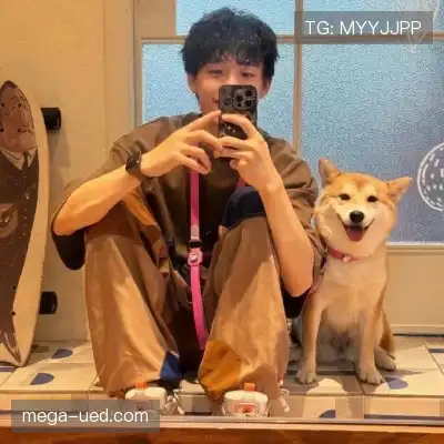 梅戈漪